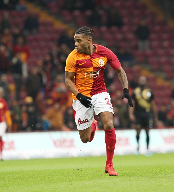 正是仰仗雷 正是仰仗雷